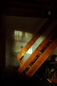 SofiaNiubo_RefufiPlaErola